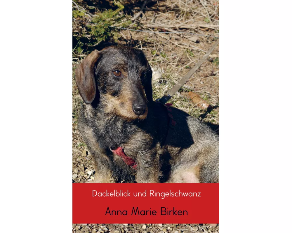 Dackelblick und Ringelschwanz