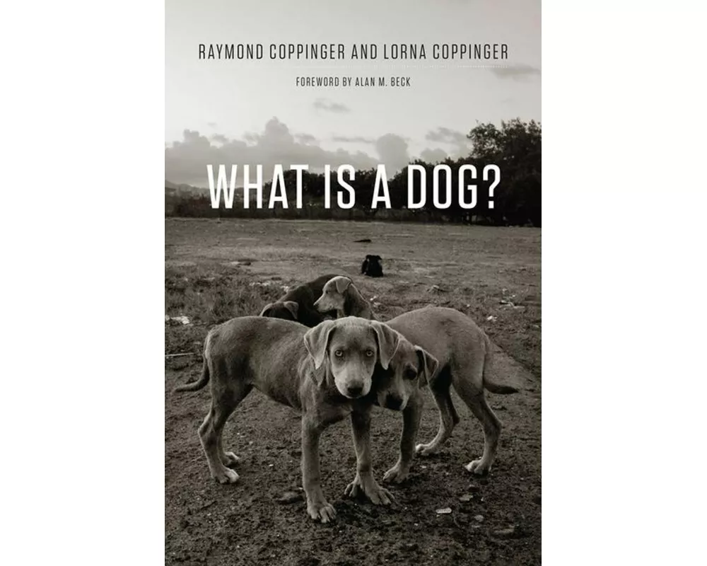 What Is a Dog?