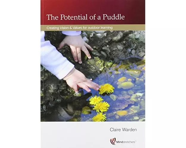 Potential of a Puddle