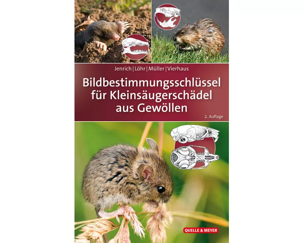 Bildbestimmungsschlüssel für Kleinsäugerschädel aus Gewöllen