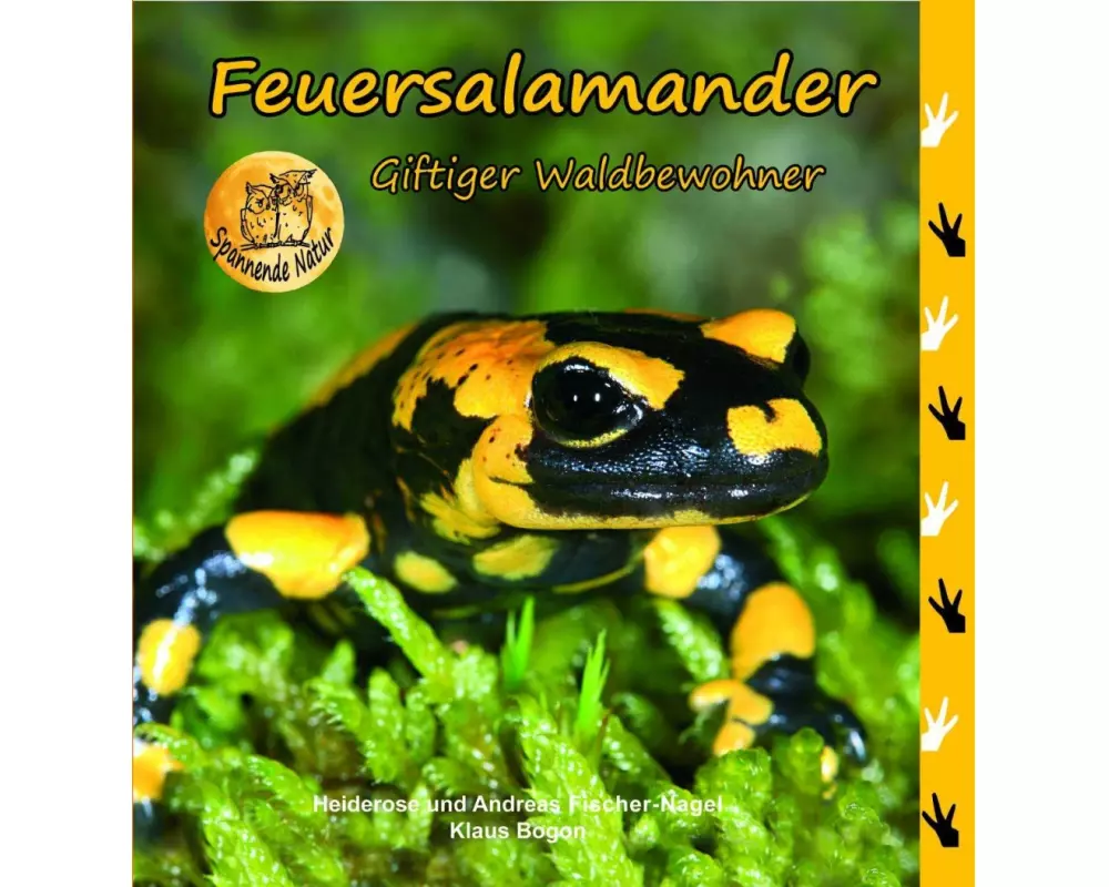 Feuersalamander