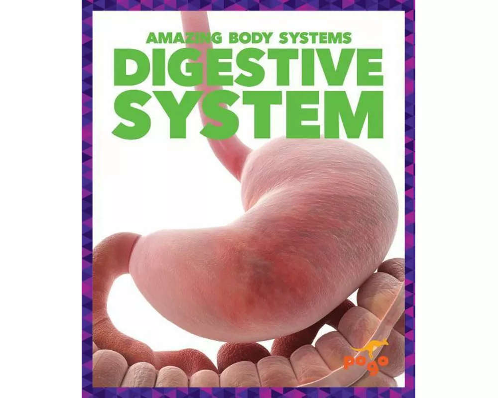 Digestive System