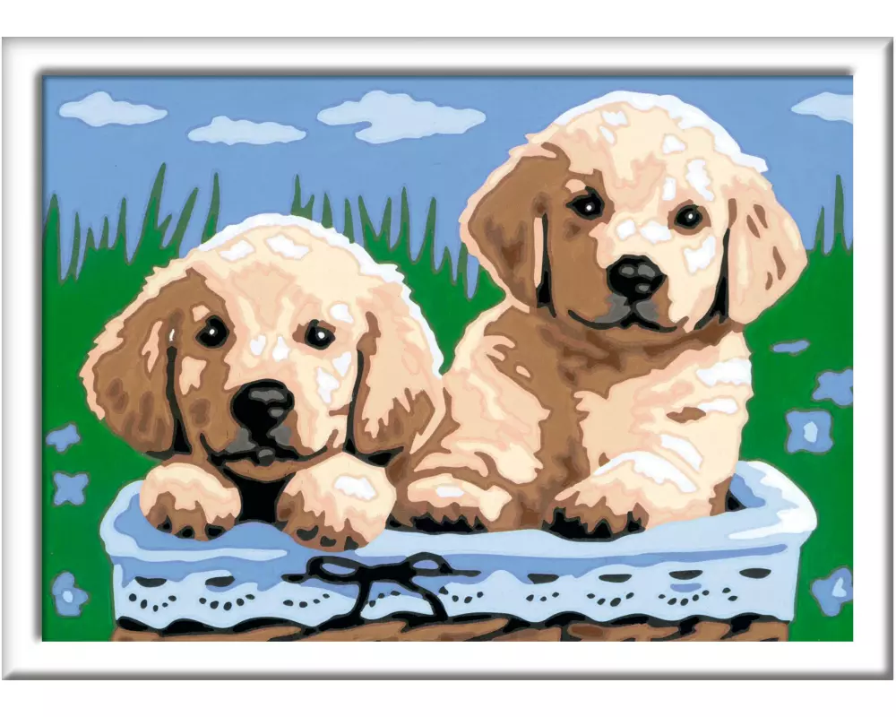 Ravensburger Malen nach Zahlen Niedliche Welpen 10 Acrylfarben