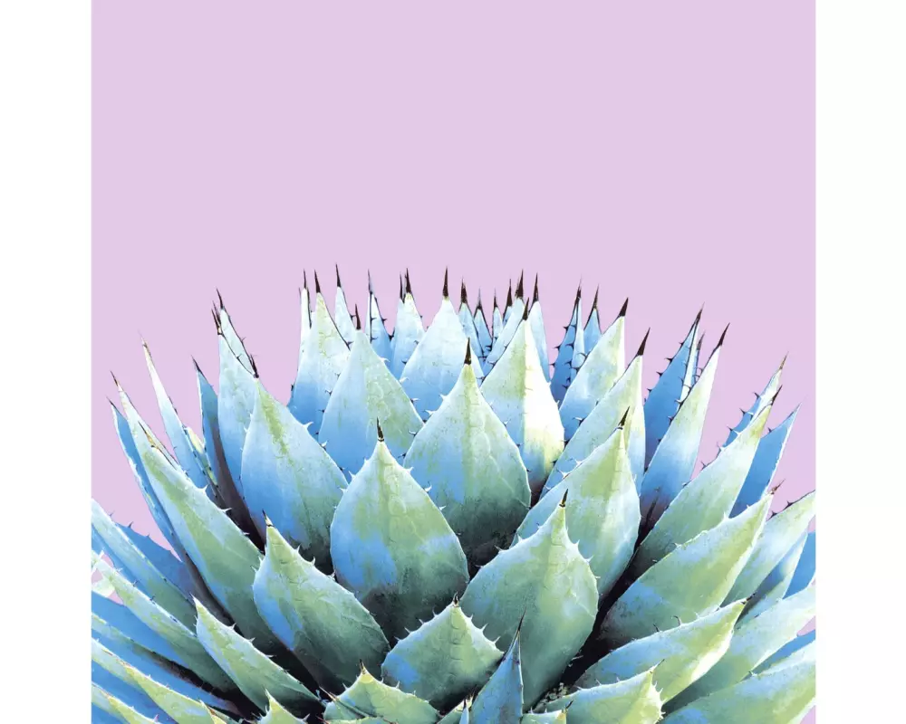 Paper + Design Papierservietten Cactus 33 cm x 33 cm, 20 Stück