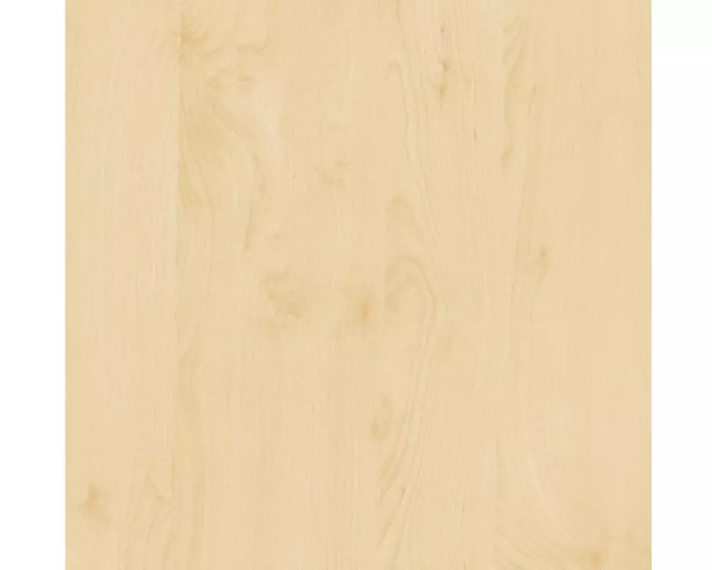 d-c-fix Designfolie Birke