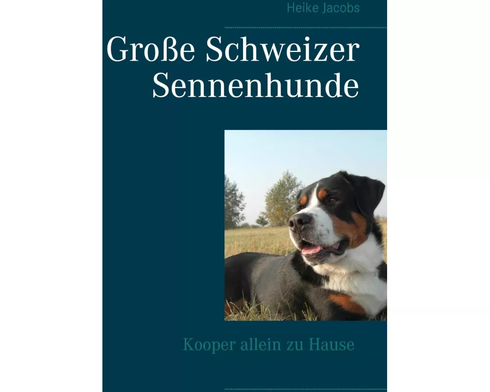 Groe Schweizer Sennenhunde - Kooper allein zu Hause