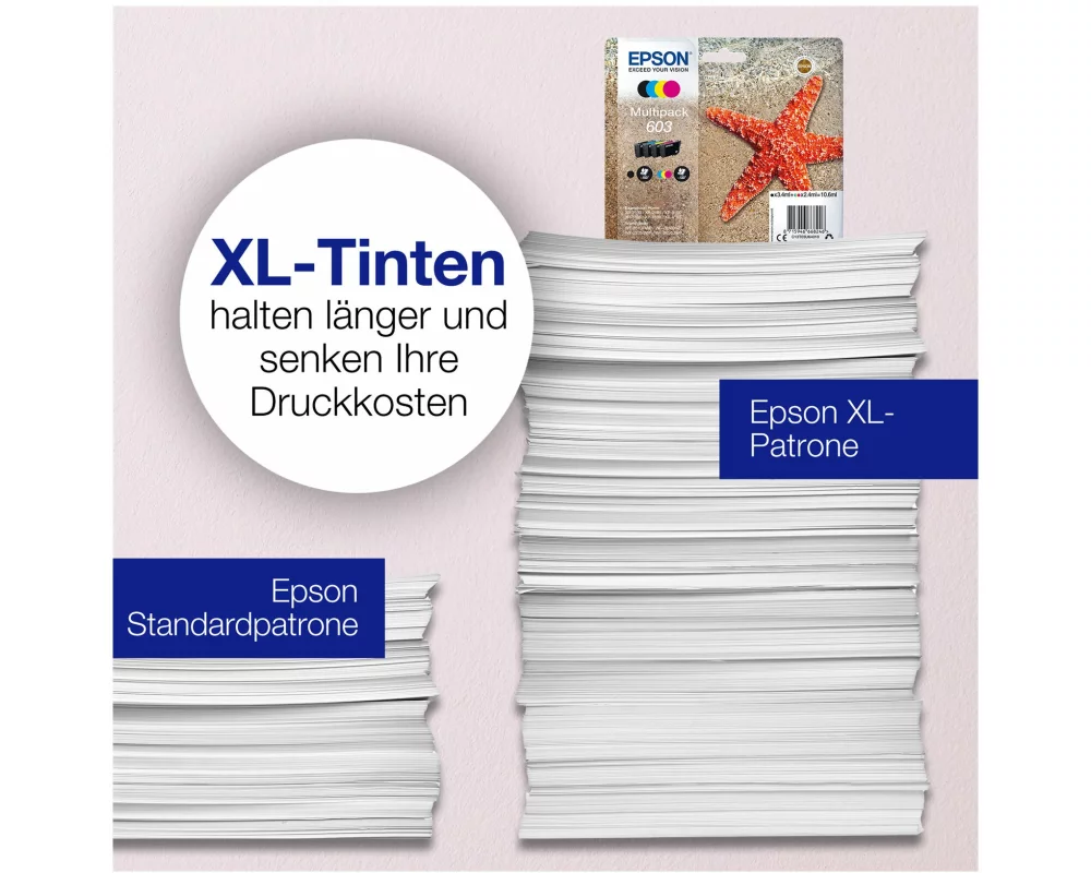Epson Multipack 4-colours 603 Ink