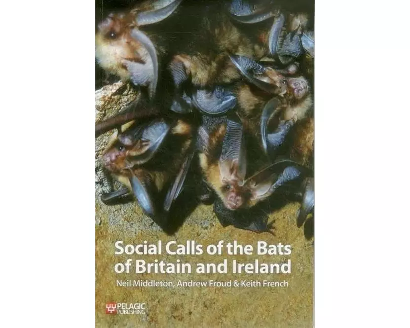 Social Calls of the Bats of Britain and Ireland