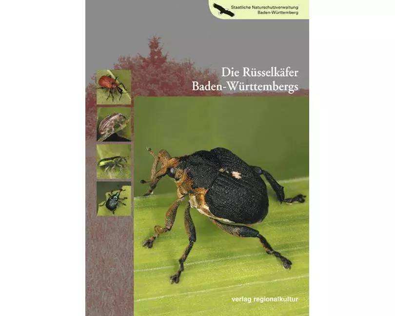 Die Rüsselkäfer Baden-Württembergs