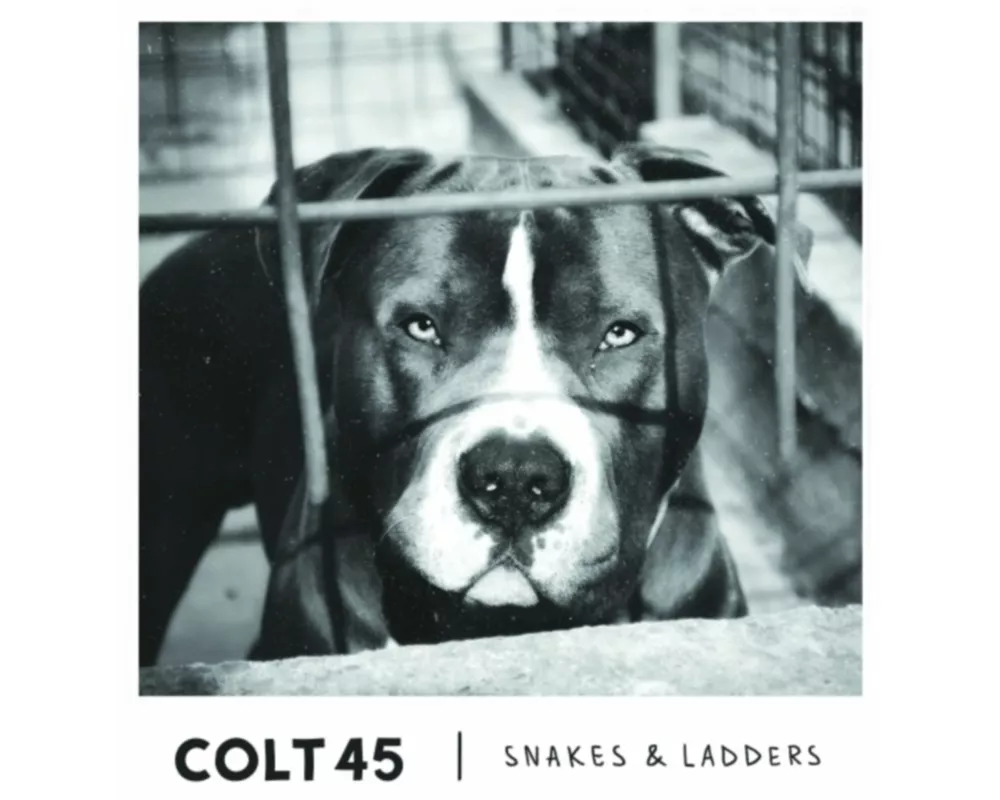 Snakes & Ladders