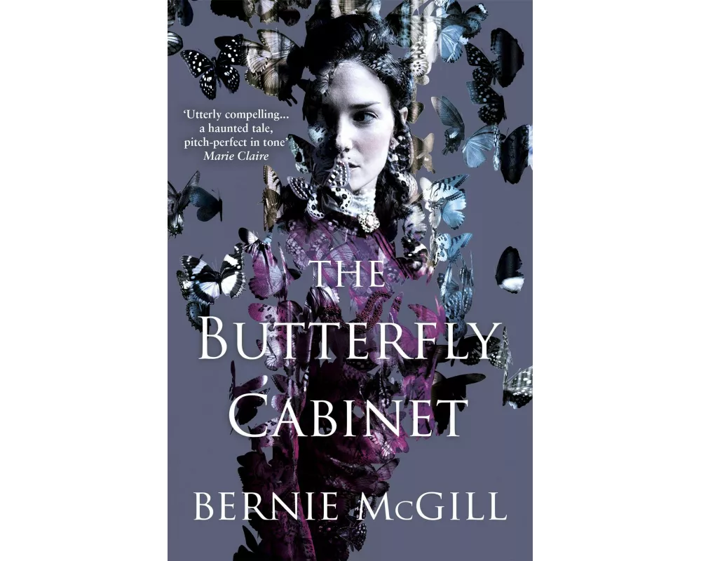 The Butterfly Cabinet