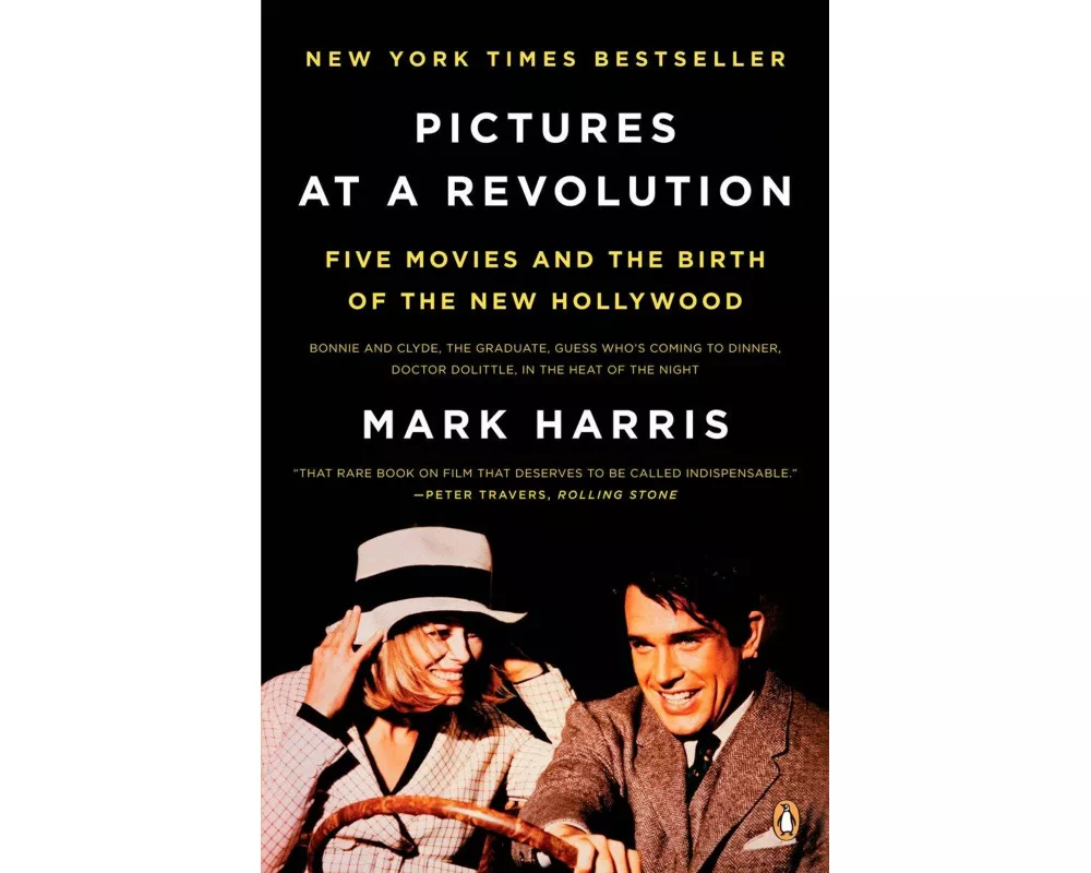 Pictures at a Revolution