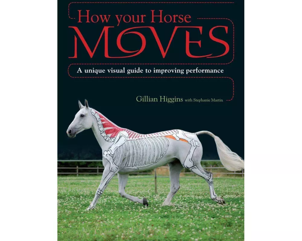 How Your Horse Moves