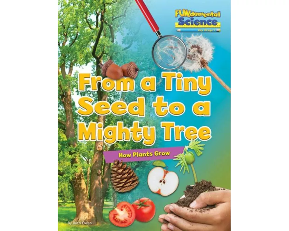 From a Tiny Seed to a Mighty Tree