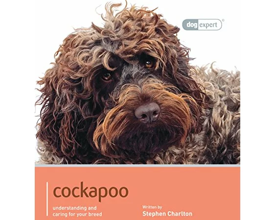 Cockapoo - Dog Expert