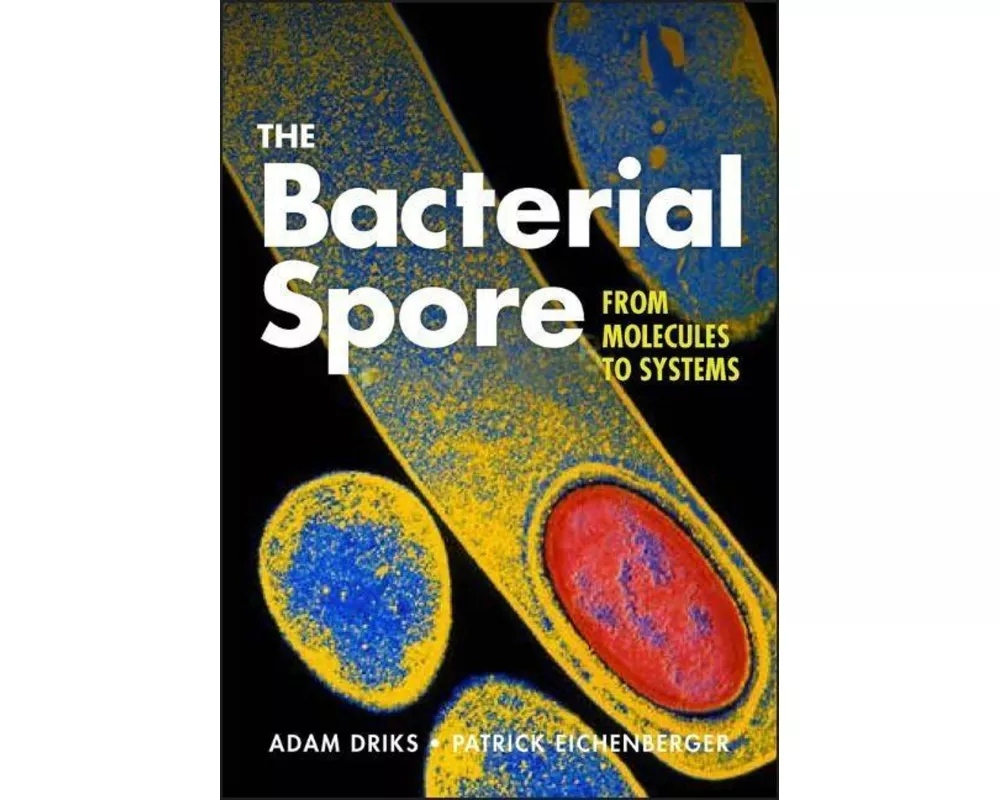 The Bacterial Spore