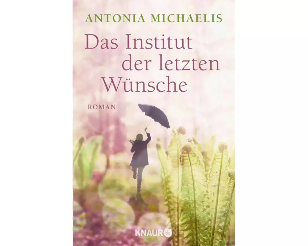 Das Institut der letzten Wünsche