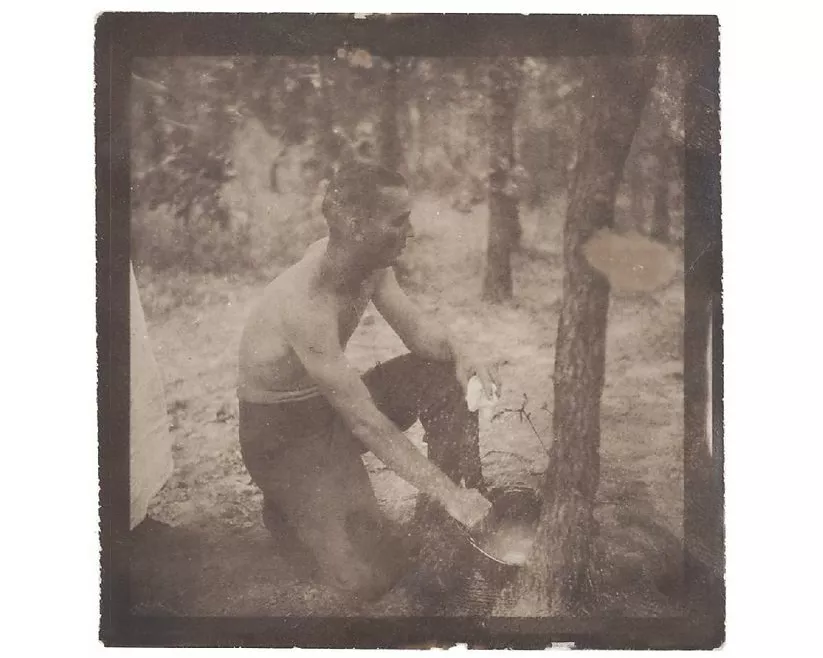Songs From The Haunted South