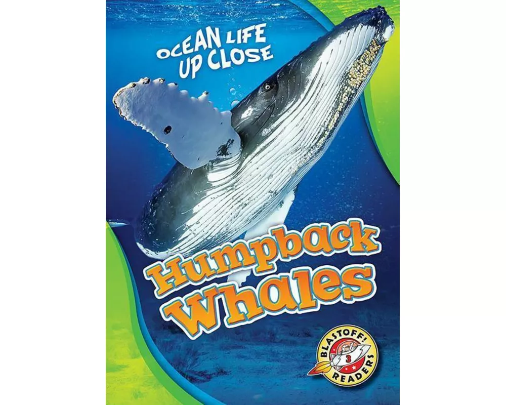 Humpback Whales