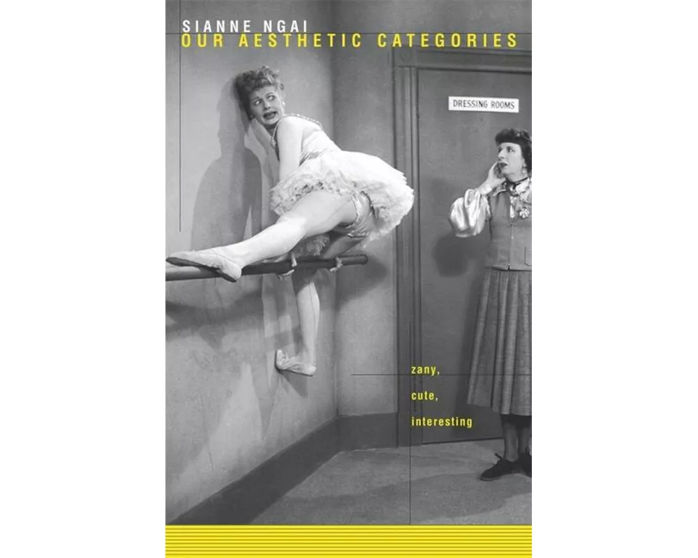 Our Aesthetic Categories