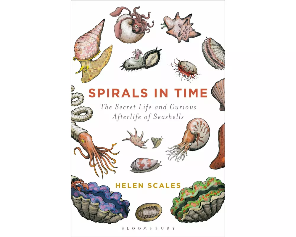 Spirals in Time