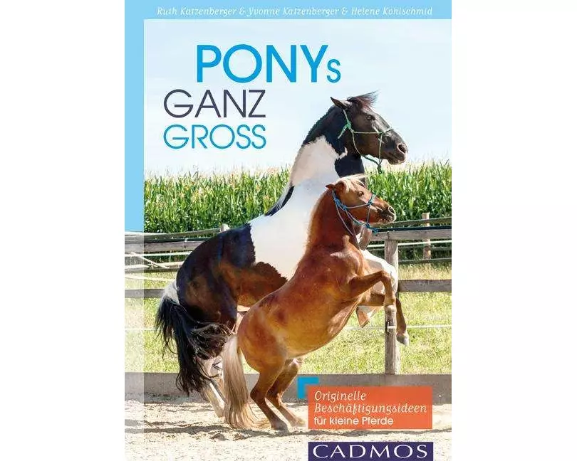 Ponys ganz groß