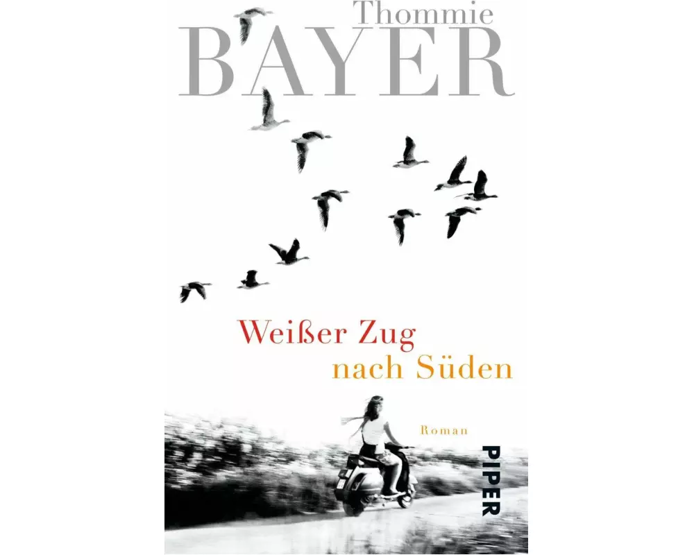 Weißer Zug nach Süden