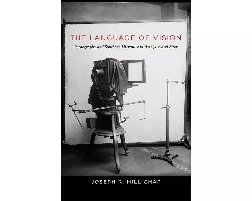 The Language of Vision