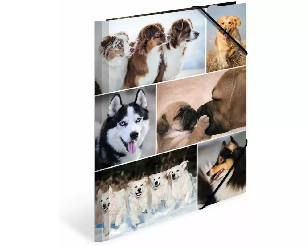 HERMA Gummibandmappe A4 Hunde, Karton, mit Innendruck