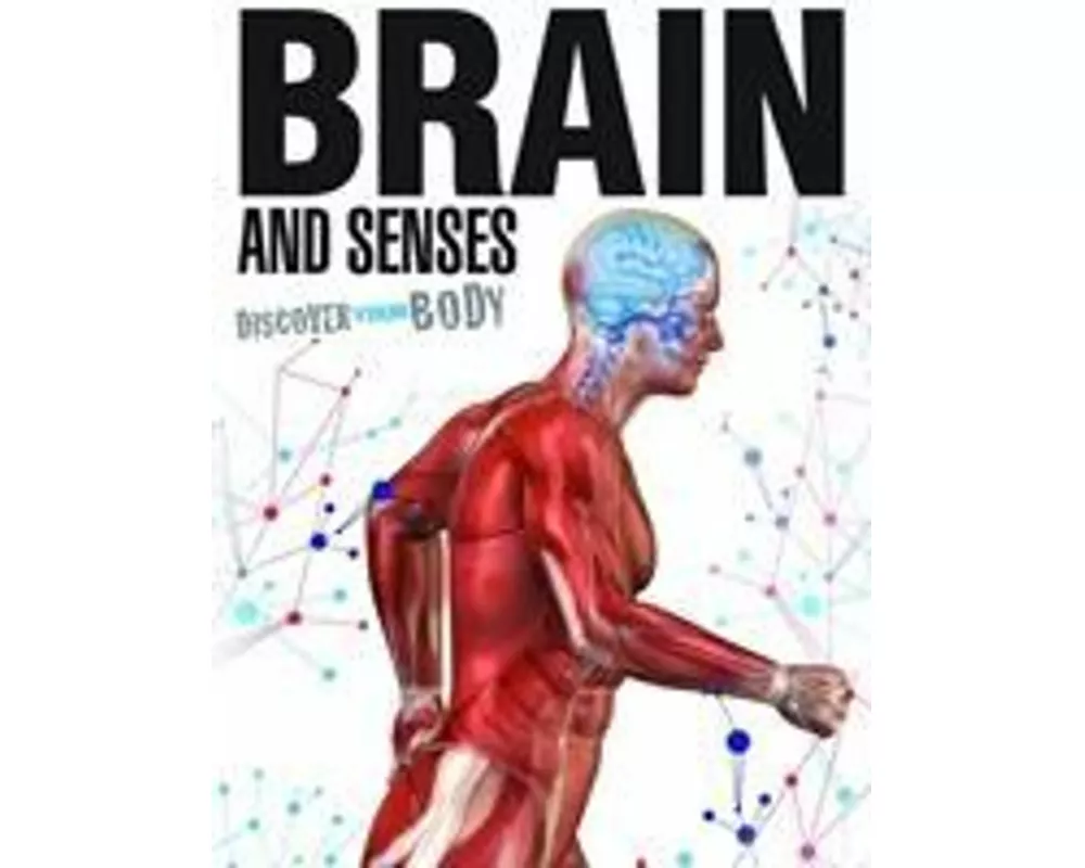 Brain and Senses