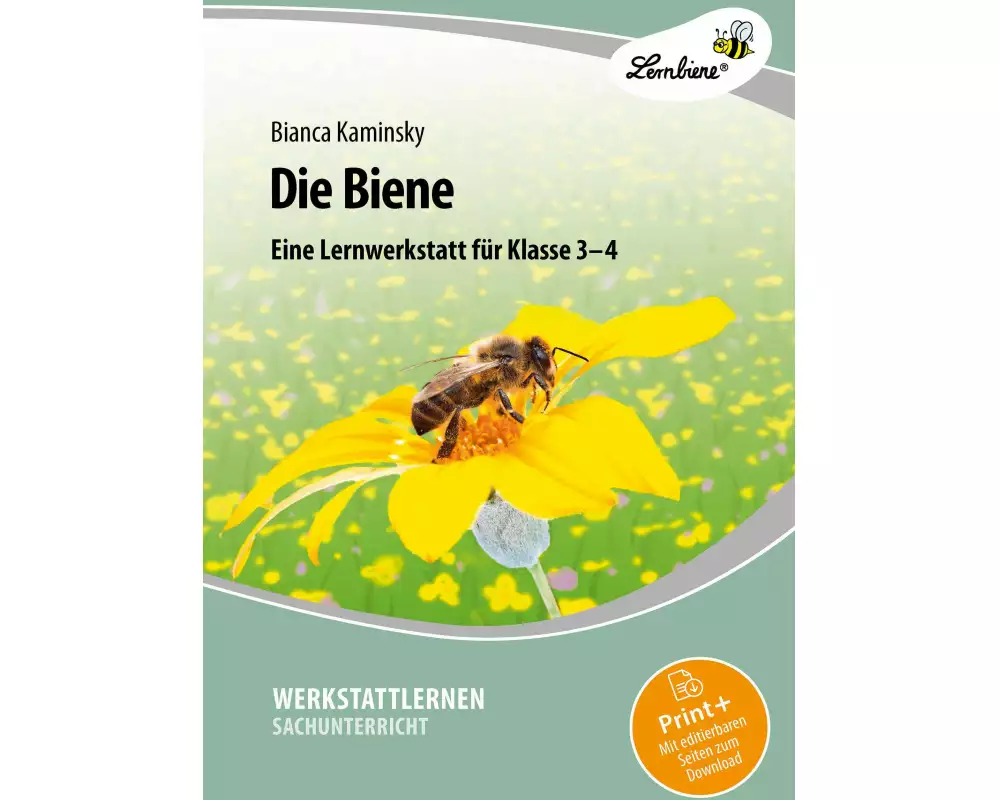 Die Biene. Grundschule, Sachunterricht, Klasse 3-4