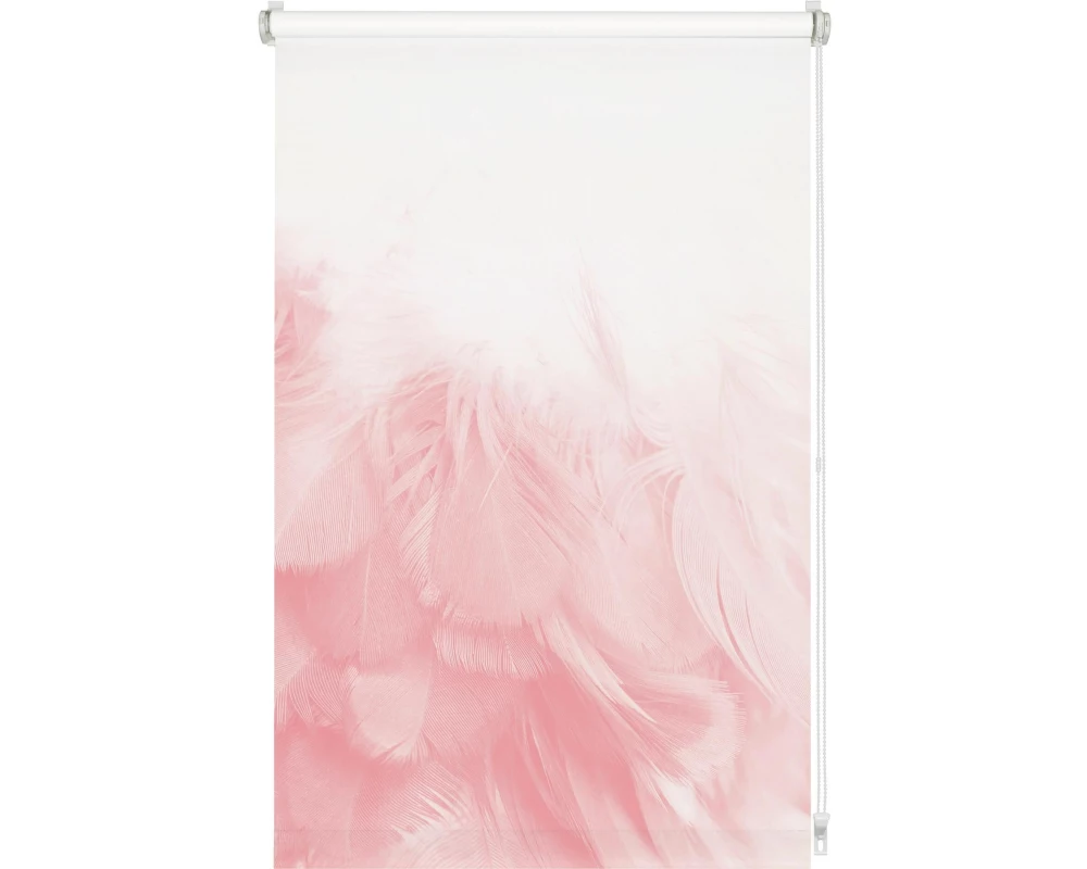 Gardinia EF Rollo Federboa 60 x 150 cm, Pink/Weiss
