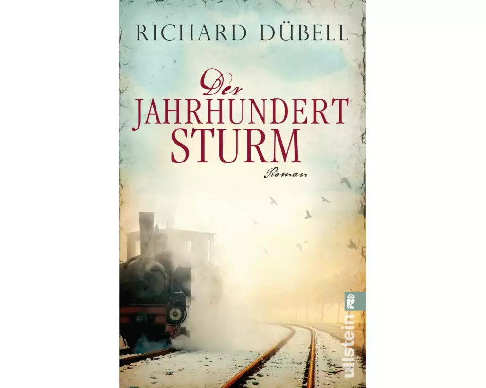 Der Jahrhundertsturm (Jahrhundertsturm-Serie 1)