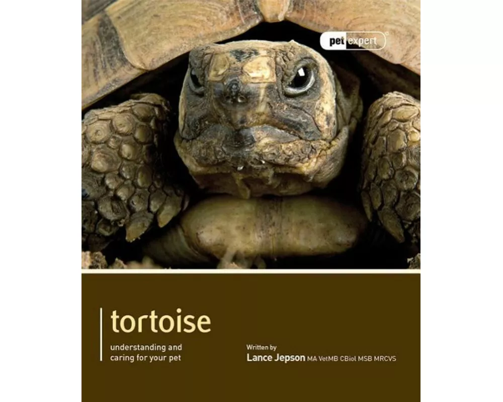 Tortoise - Pet Expert