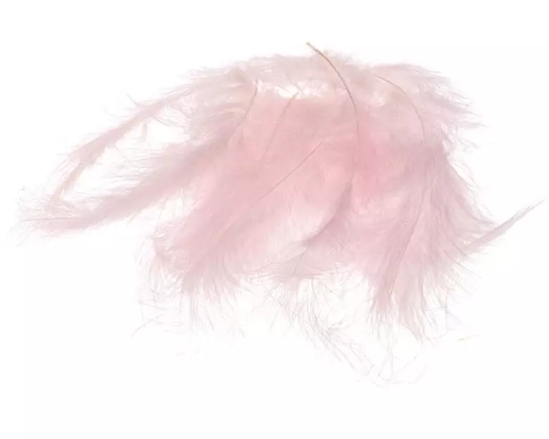 Opiflor Marabufedern 45g, Rosa