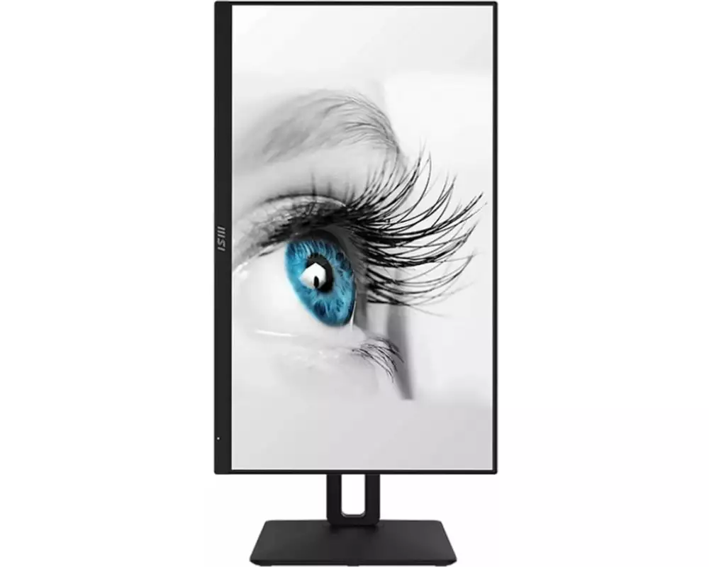 MSI Monitor MP242APDE