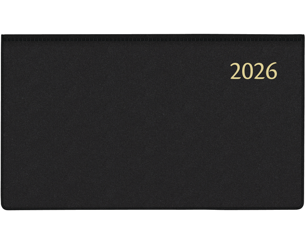 AURORA Agenda Seta Novopl. Pearl 2026 1714P 1W/2S ass. ML 9x16.5cm