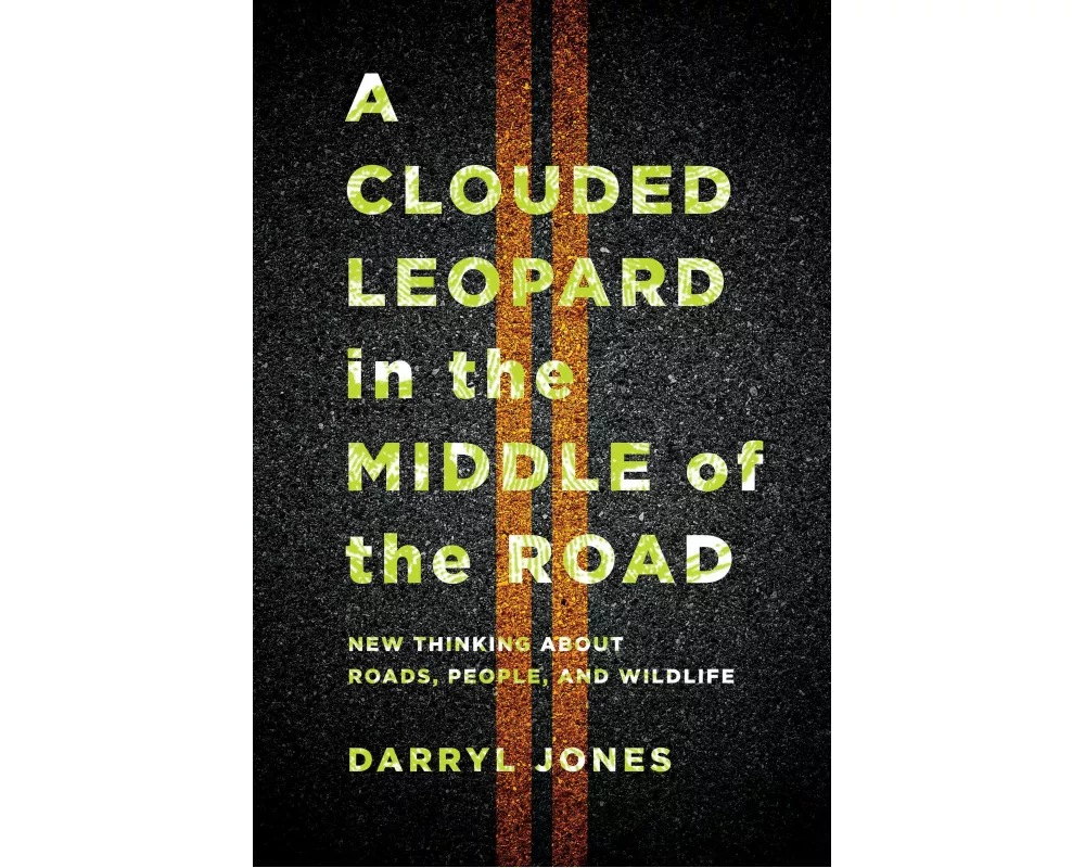 A Clouded Leopard in the Middle of the Road