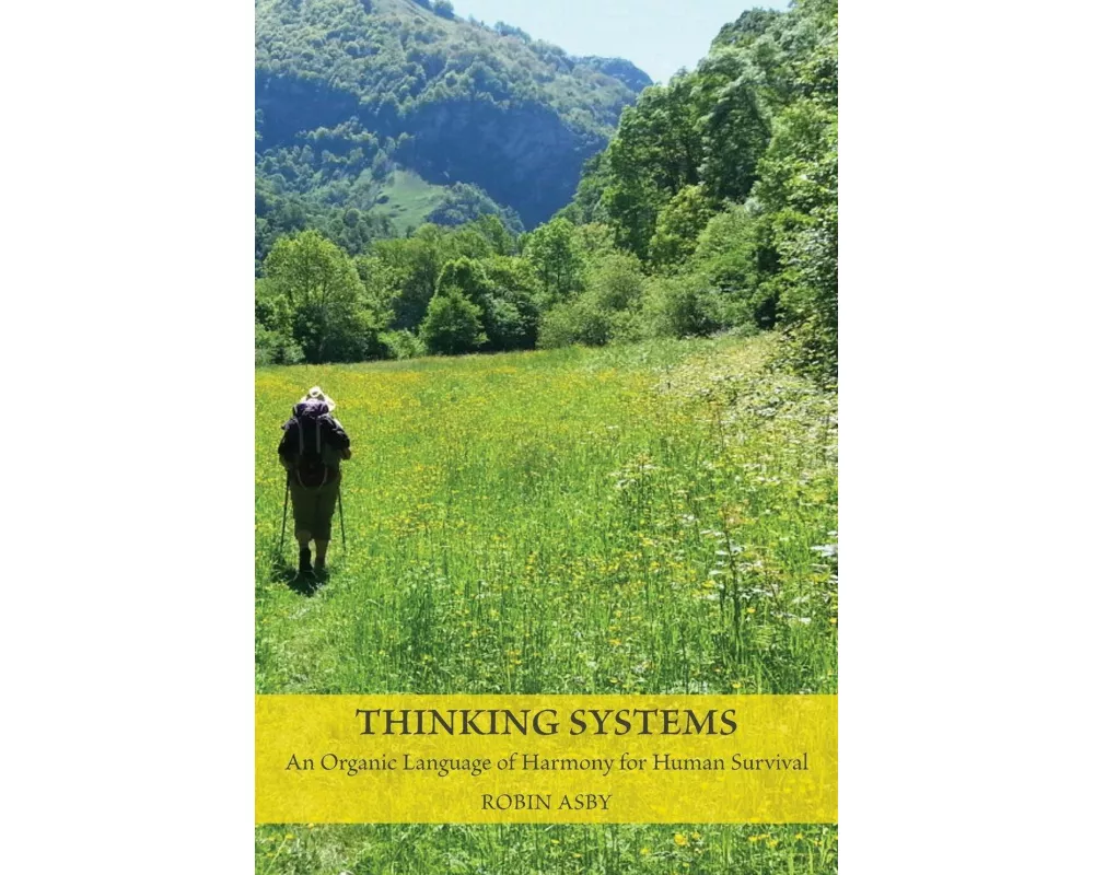 Thinking Systems