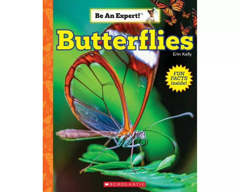 Butterflies (Be an Expert!)
