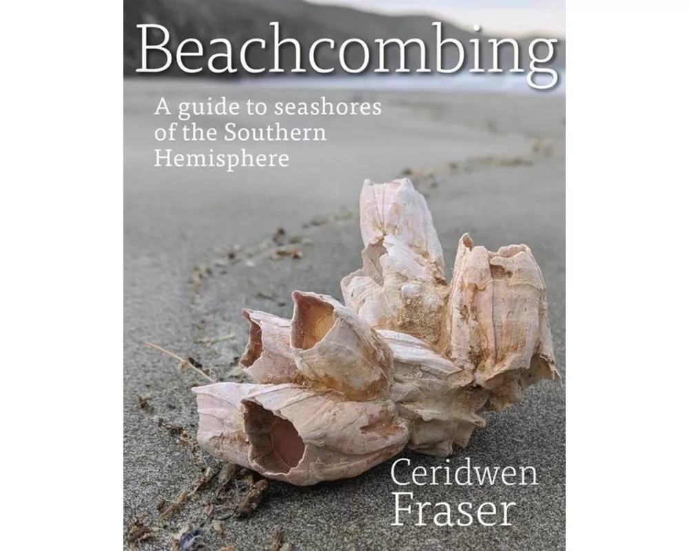 Beachcombing