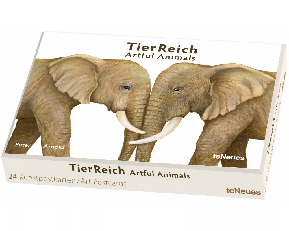 TierReich Kunstkartenbox