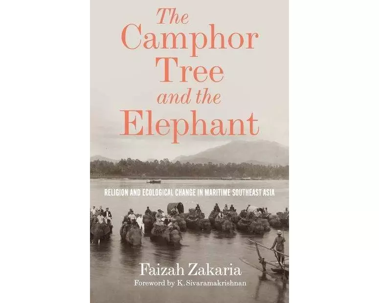 The Camphor Tree and the Elephant