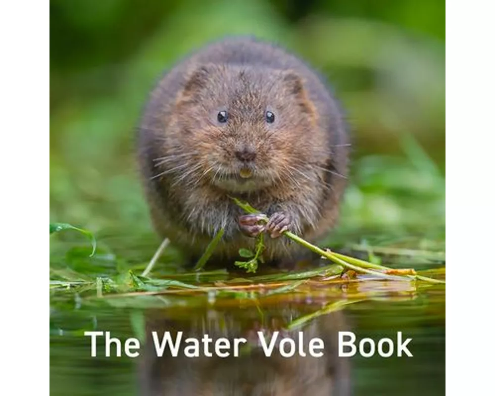 Nature Book Series: The Water Vole Book