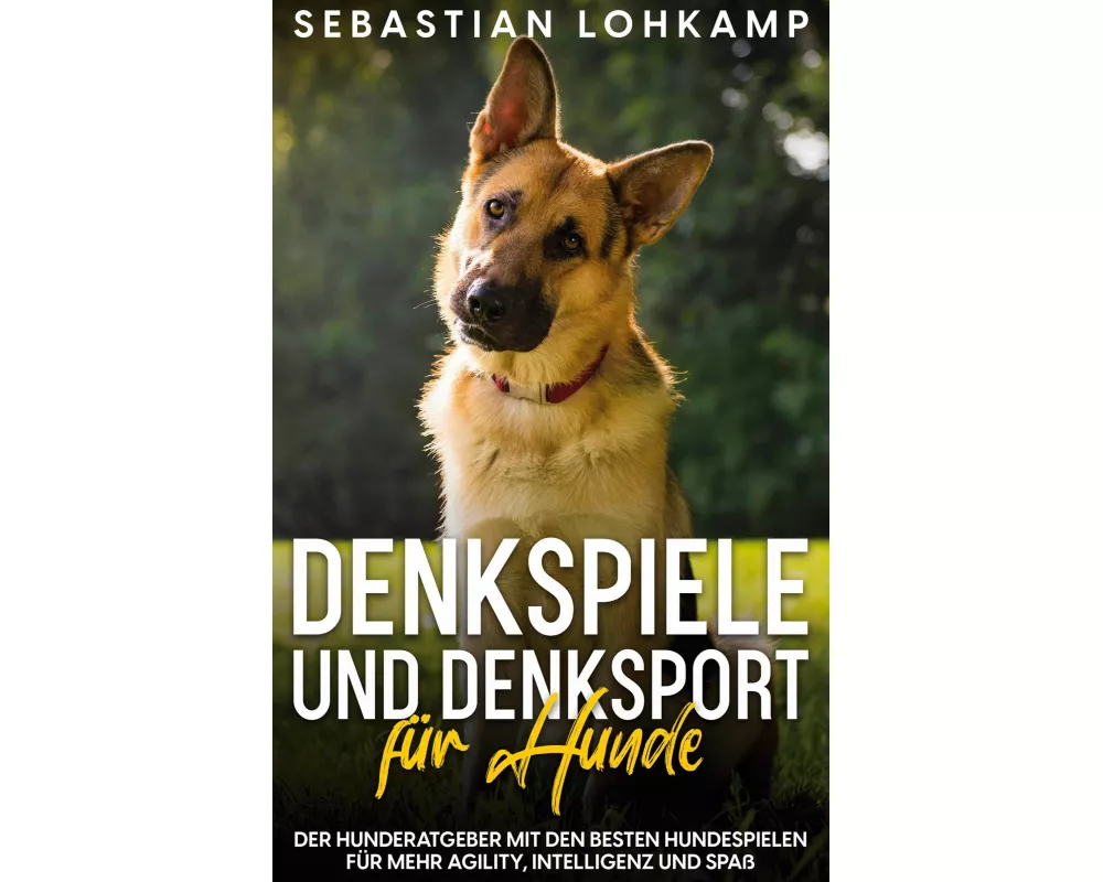 Denkspiele und Denksport für Hunde