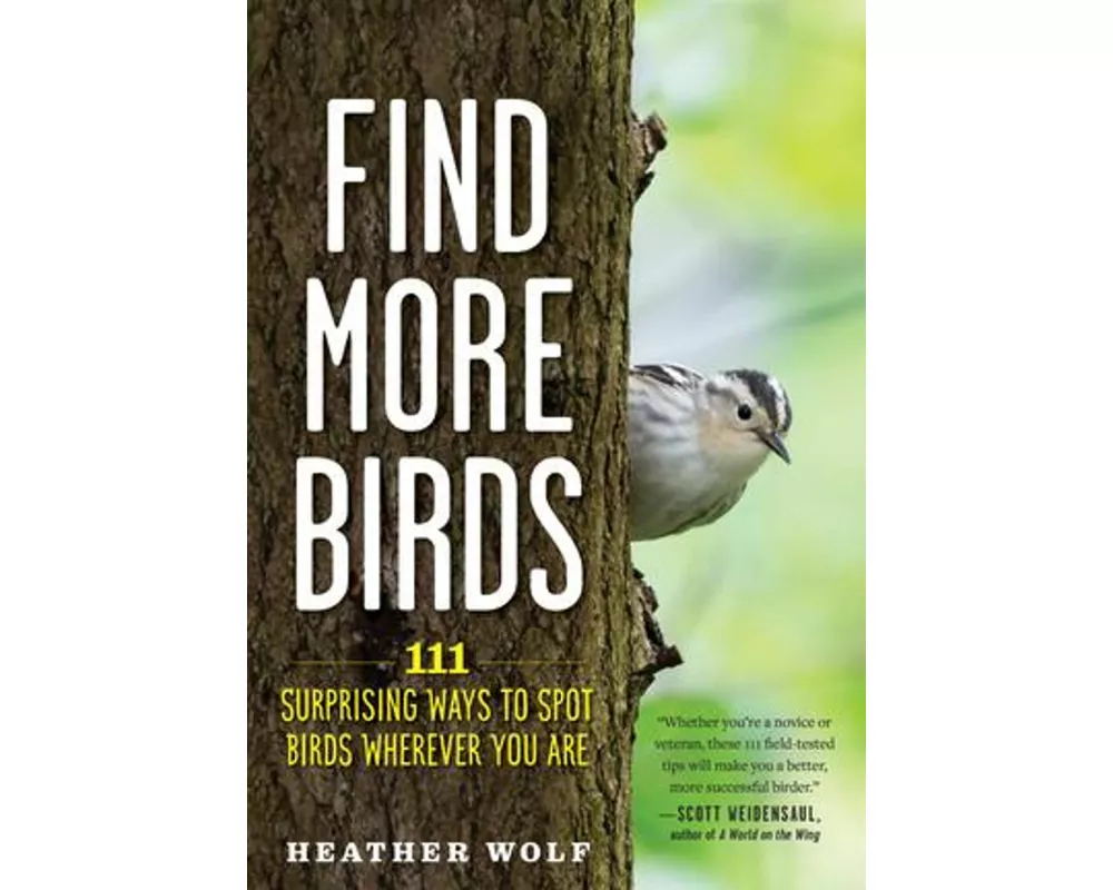 Find More Birds