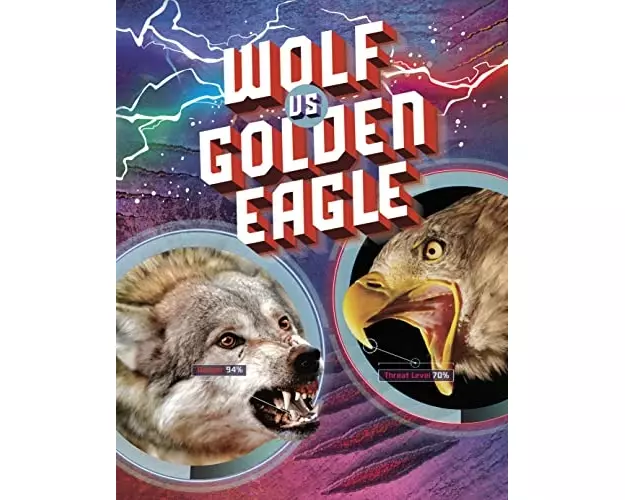 Wolf vs Golden Eagle