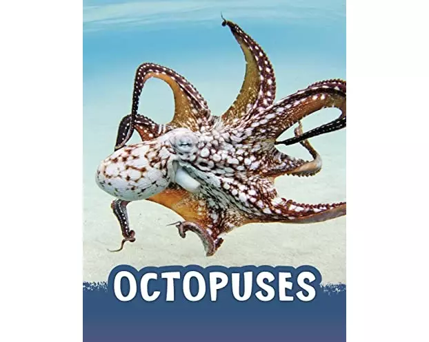 Octopuses