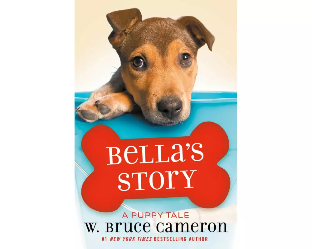 Bella's Story