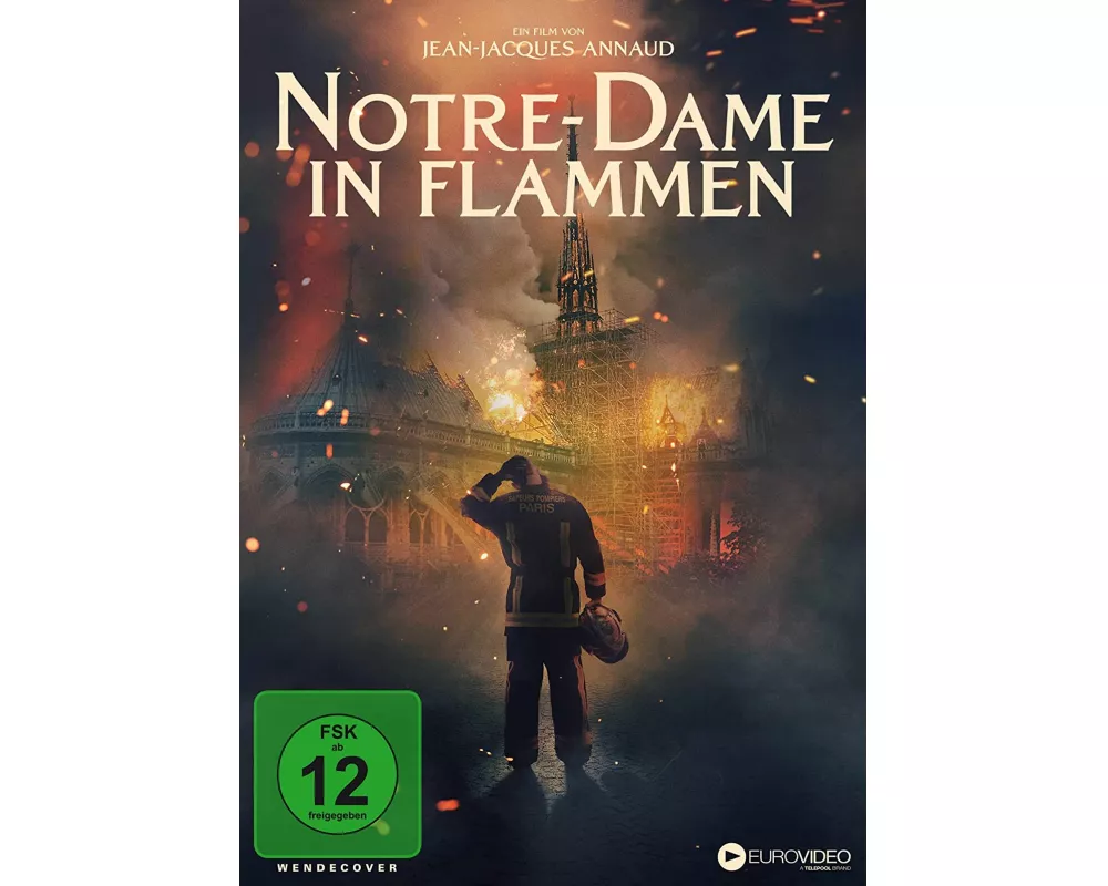 Notre Dame in Flammen
